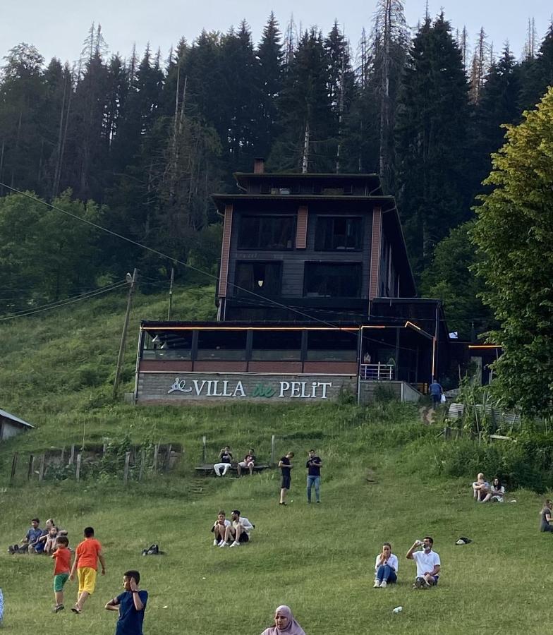 Ayder Villa De Pelit Hotel Exteriör bild